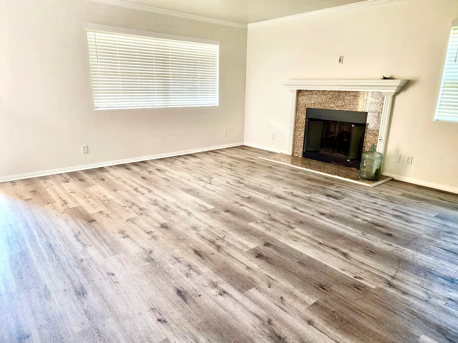 2 bed, 1250 sqft, $3,680 — Photo 2