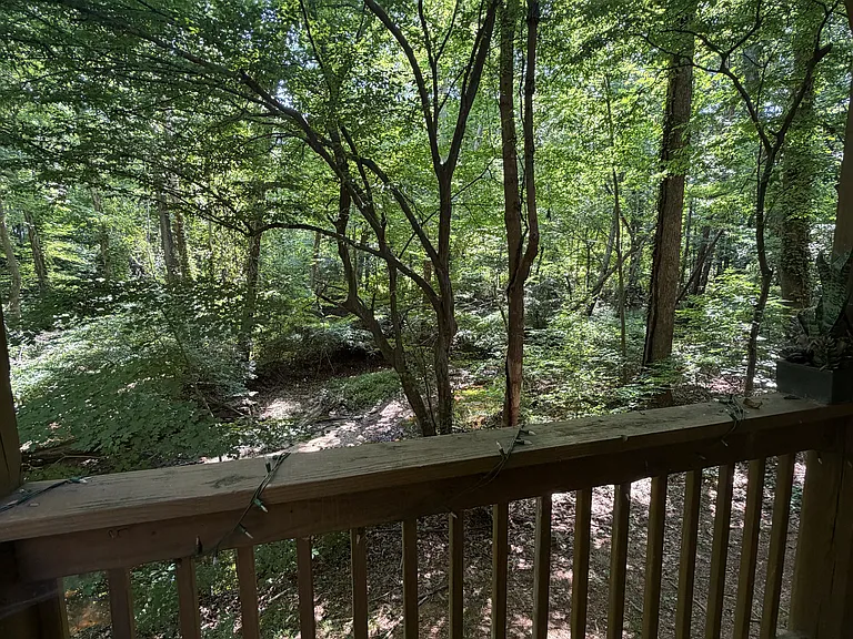 6166 Loch Laural Ln — Photo 86
