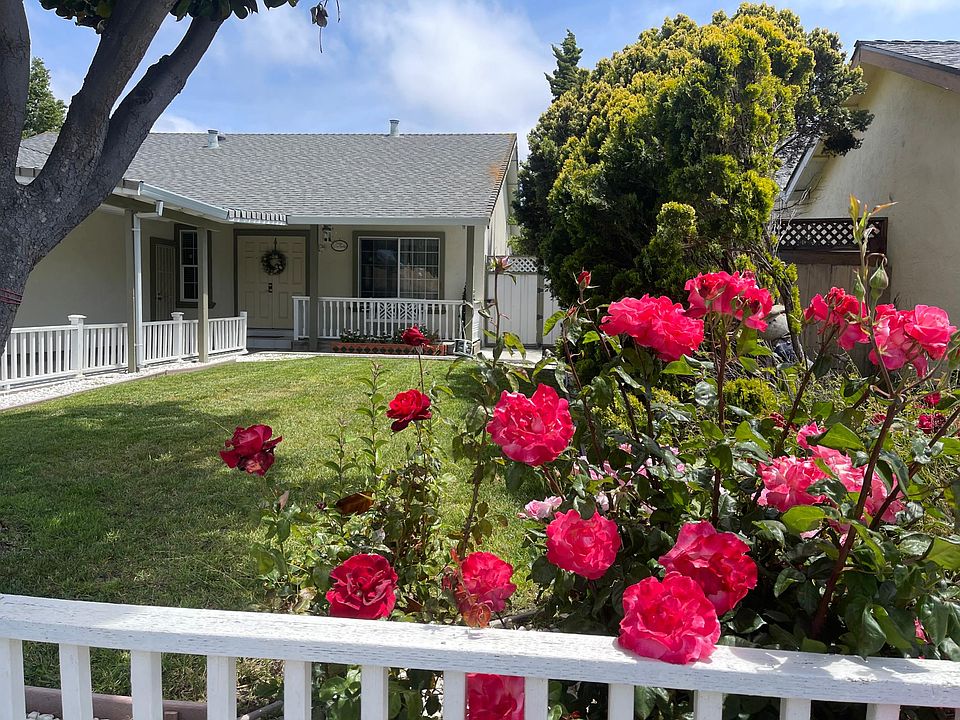 Beautiful roses welcome you to your new home.