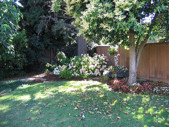 parklike back yard