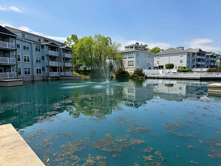 401 Waters Edge Dr — Photo 7