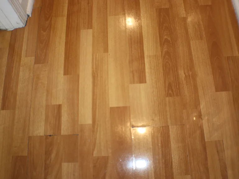 4088 Balwynne Park Rd #1 — Photo 7