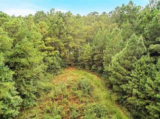 530 Log Landing Cir #1, Springfield, GA 31329