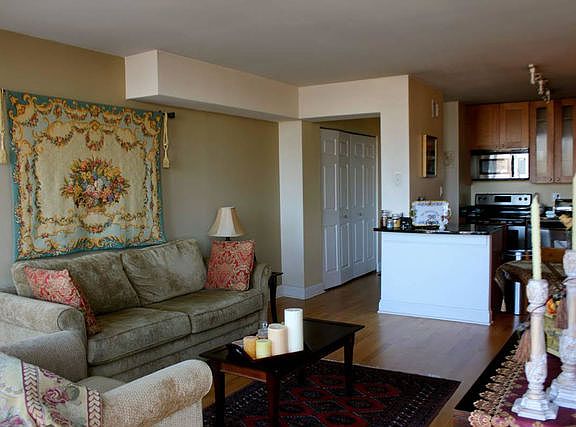 2nd image of 450 W Briar Pl APT 13C