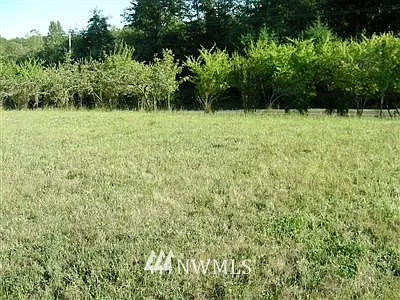 0 Lot 3 107th Avenue SW photo 1