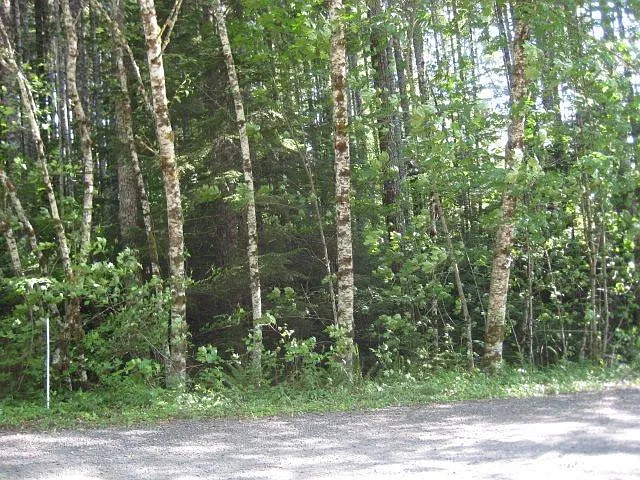 145 Clifford Ave E photo 1