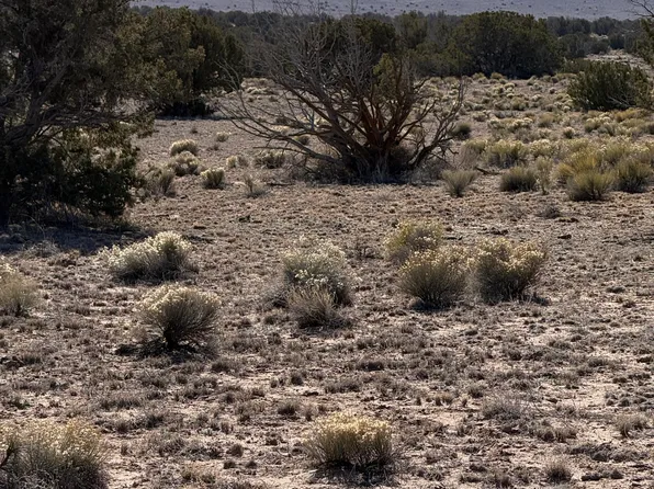 6549 N, Saint Johns, AZ 85936