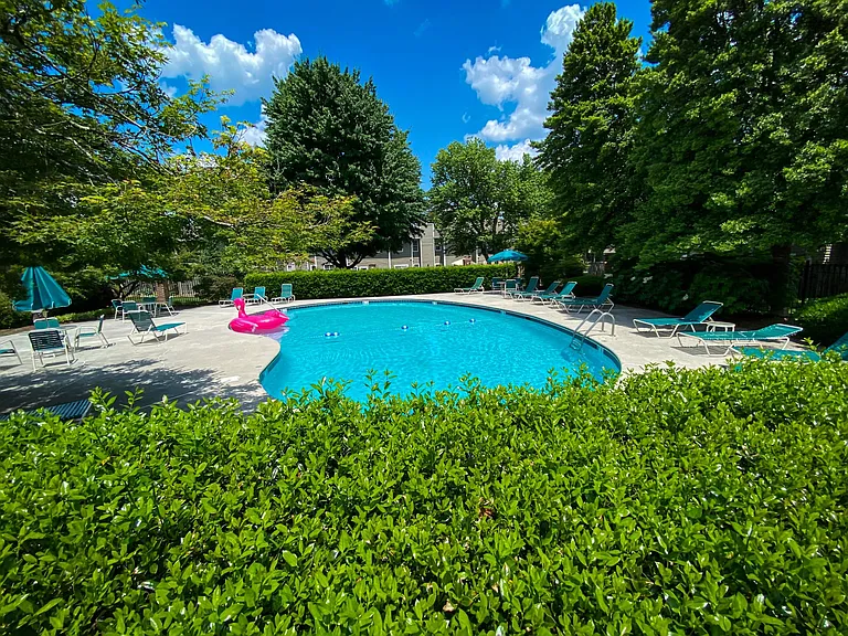 7743 Village Dr — Photo 18