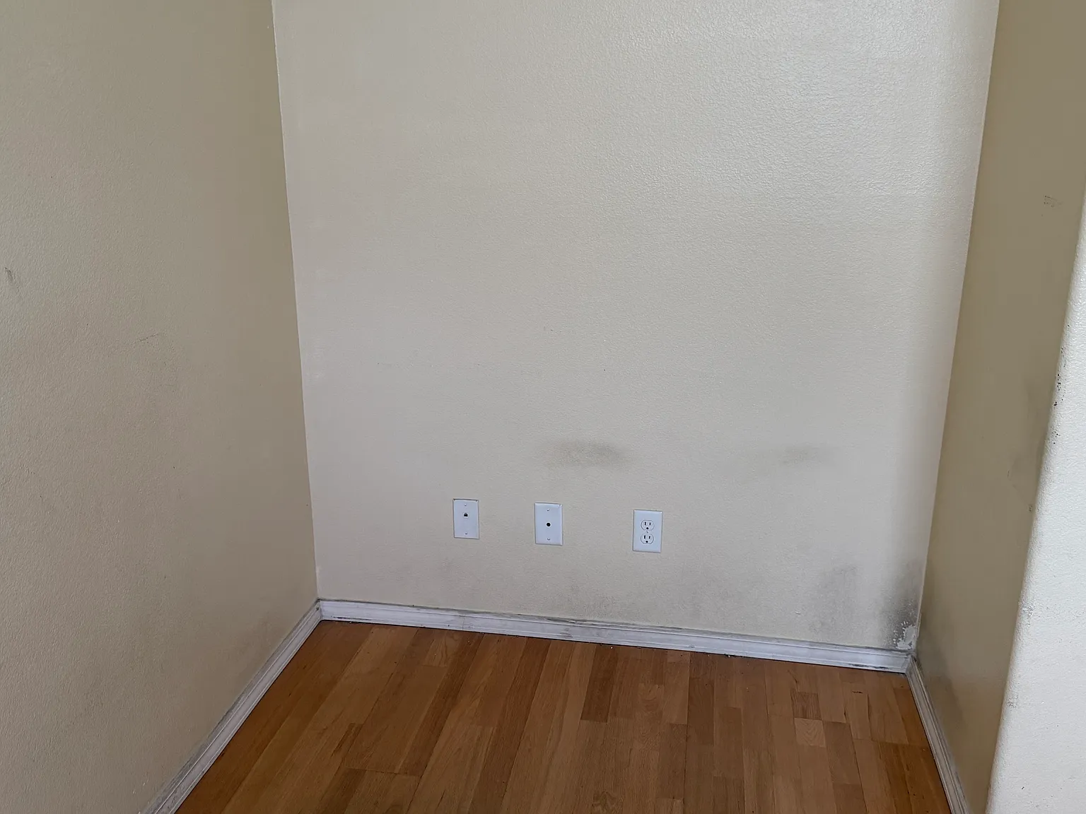 4 bed, 2723 sqft, $4,200 — Photo 3
