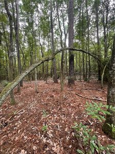 0 Grimsley Rd LOT 2, Satsuma, AL, 36572
