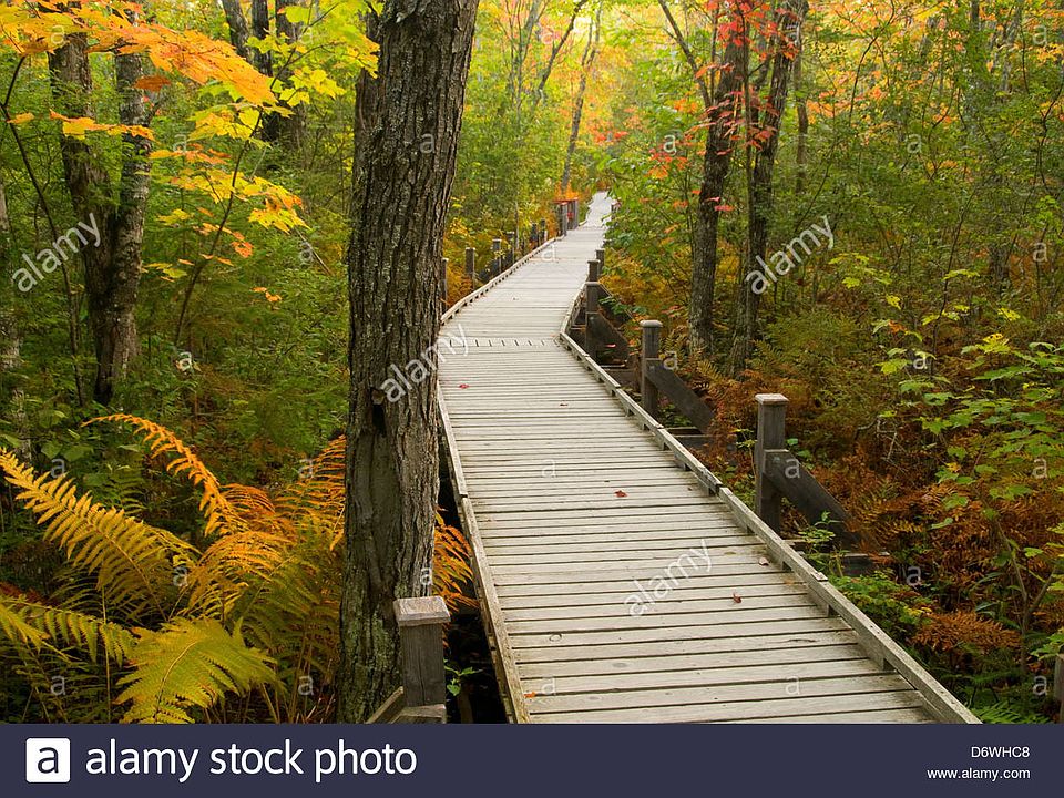 Play land a stone throw away