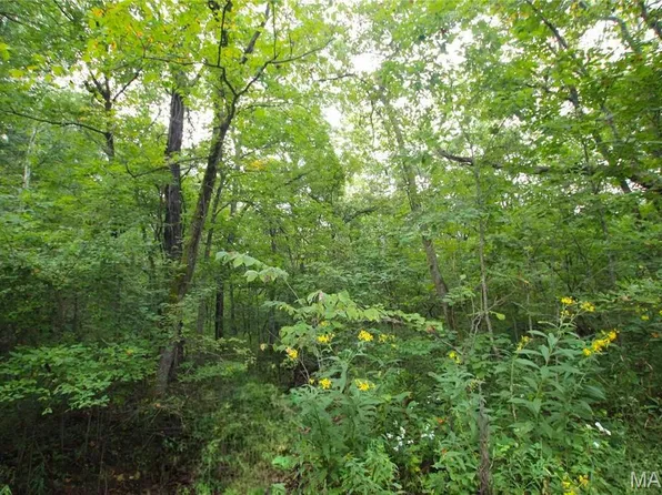 414/ACRE S Pendleton Lost Creek Rd, Warrenton, MO 63383
