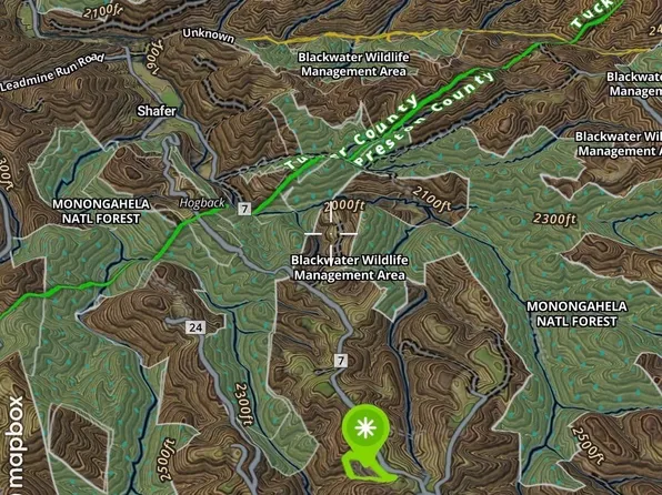 1741 Hog Back Rd, Eglon, WV 26716