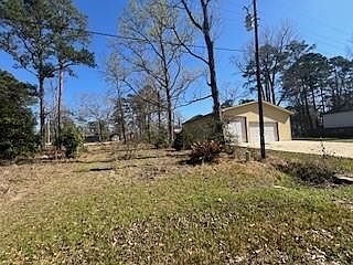 4th image of Apple Tree