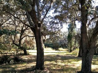 11306 Raulerson Rd, Riverview, FL 33569