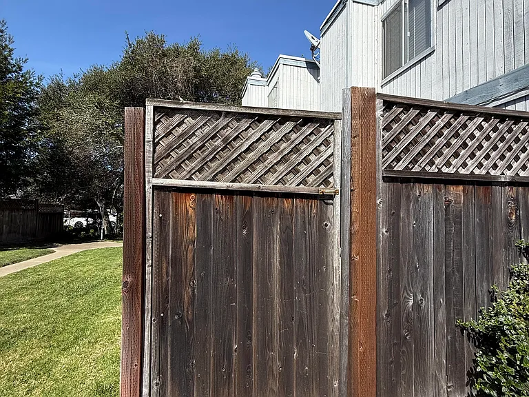 Patio gate from the outside