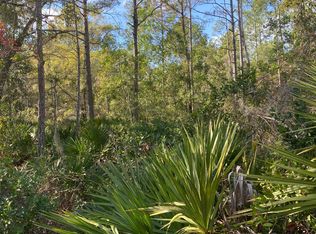820 Old Bubbly Rd, Pierson, FL 32180