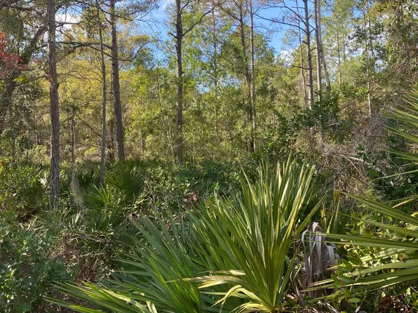 820 Old Bubbly Rd, Pierson, FL 32180