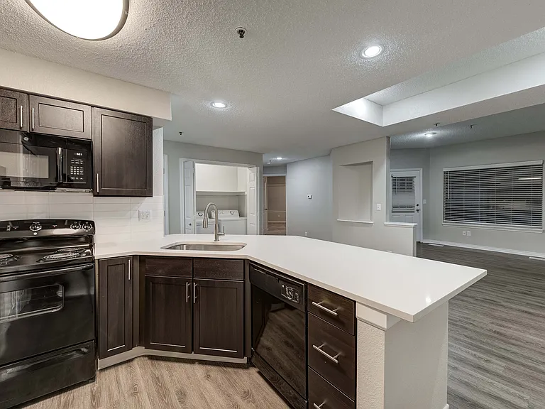 Modern kitchen featuring sleek dark cabinetry, spacious countertops, and stainless steel appliances seamlessly leading into an open-concept living area with stylish flooring.