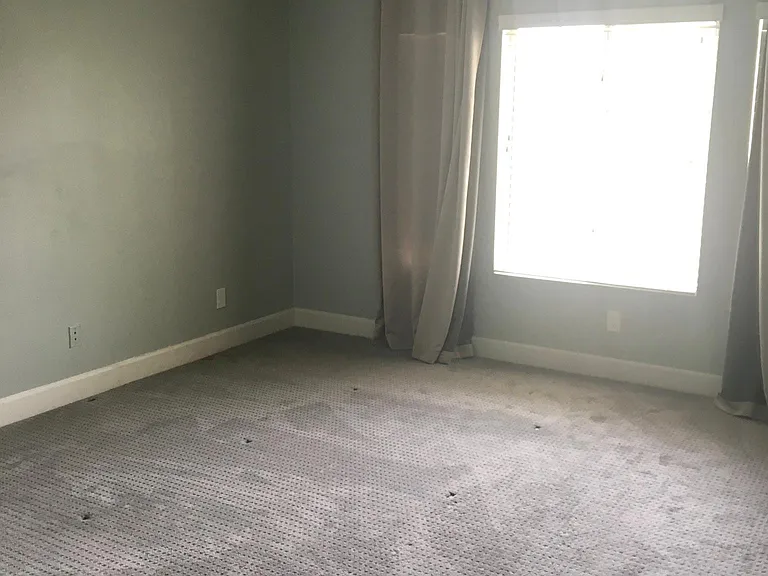 2331 Silver Crew Pass — Photo 7
