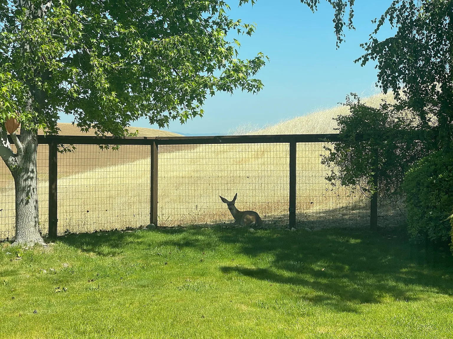Rolling Woods Way, Concord — Photo 1