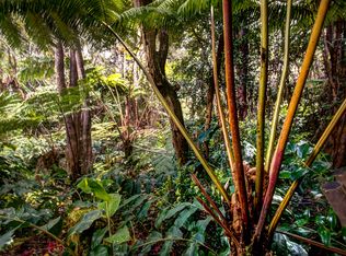 19-4191 Kawailehua Rd LOT 161, Volcano, HI 96785