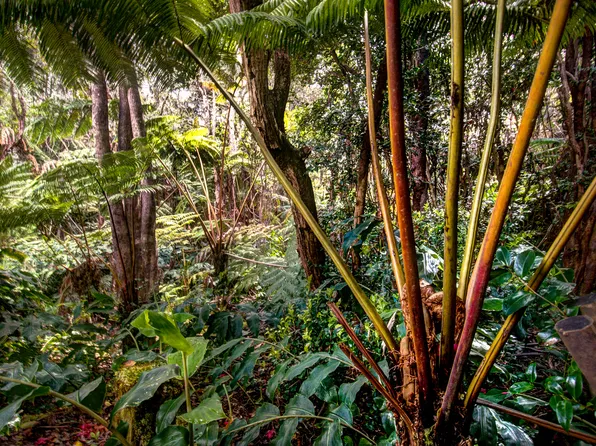 19-4191 Kawailehua Rd Lot 161, Volcano, HI 96785