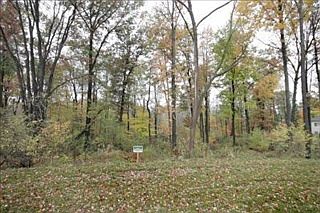 1st image of 272 Cedar Creek Dr