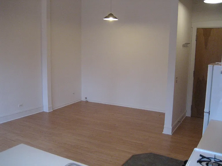 1649 N Wells St #3K1 — Photo 3