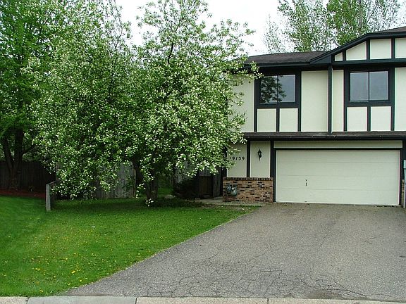 Summertime Front Picture