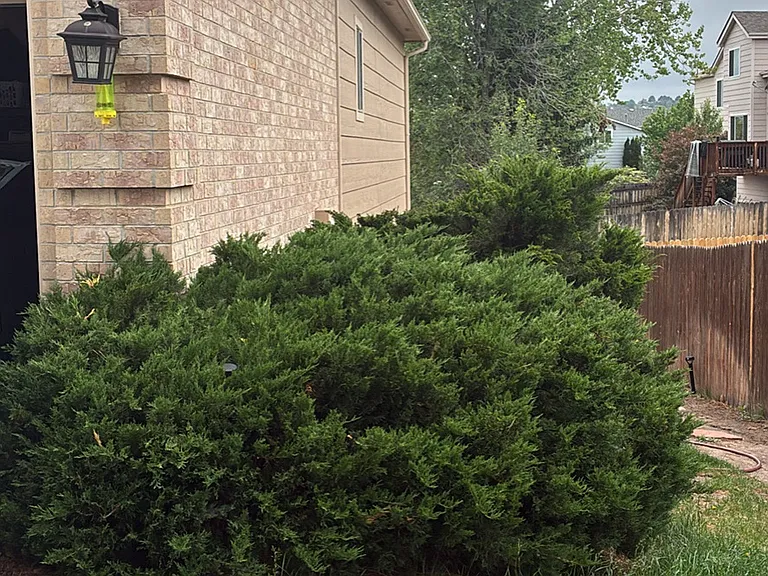 6725 Blazing Trail Dr — Photo 10