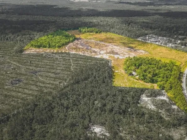 26 Capt Hanks Rd, Woodbine, GA 31569