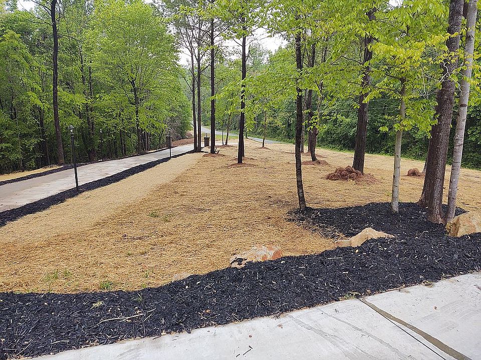 2nd image of 554 Biblebrook Dr