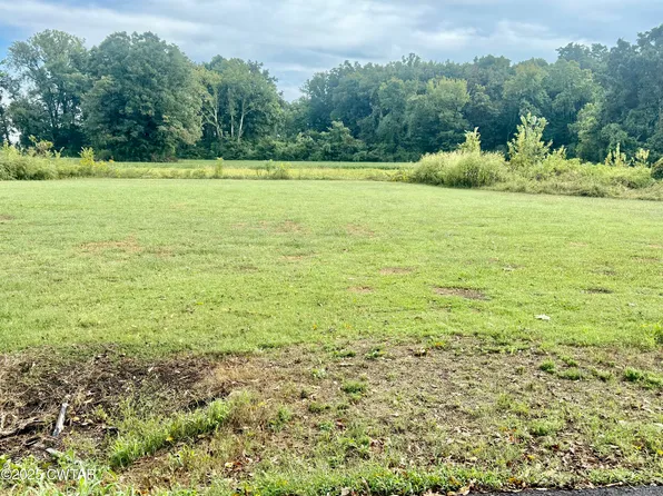 0 Magnolia Rd, Tiptonville, TN 38079