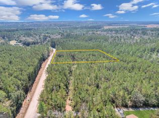 0 Vic Waters Rd SE, Townsend, GA 31331