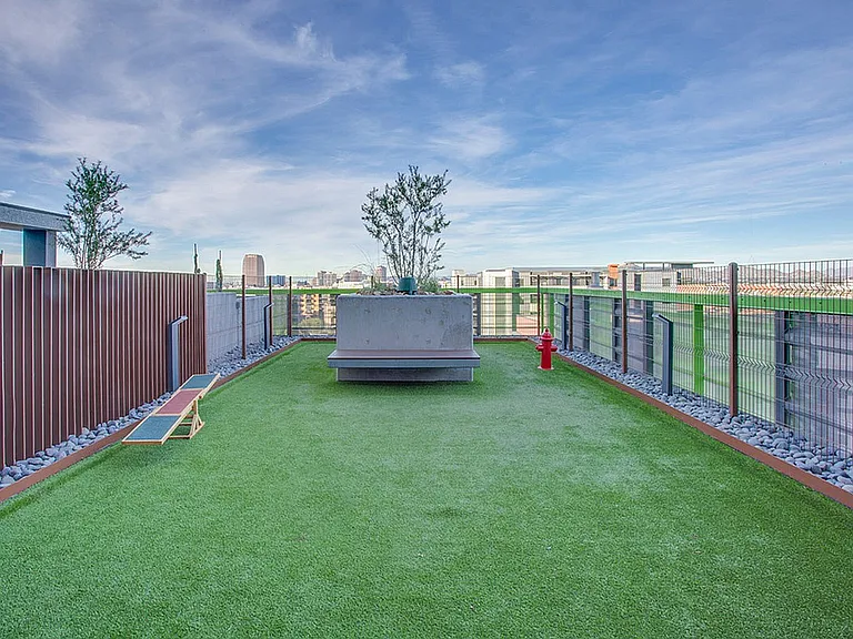 Bark Park