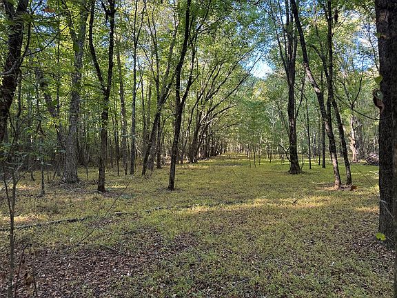 2nd image of 66 County Road 461