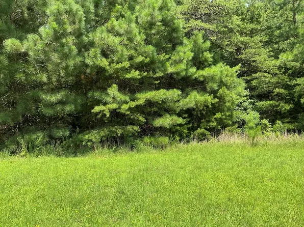 7 Walker Candie Ln, Callao, VA 22435