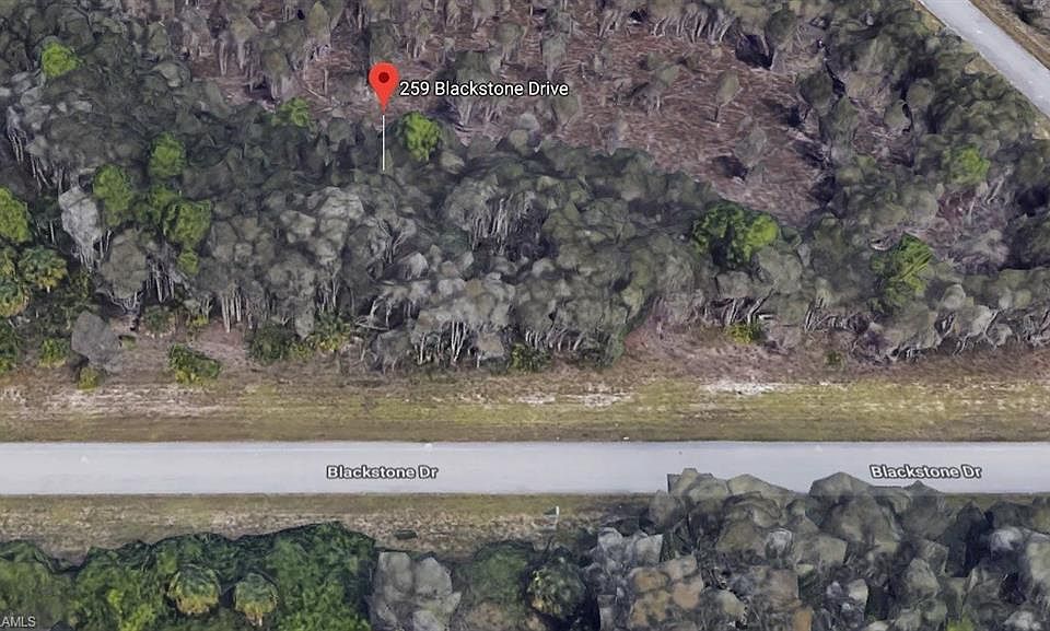 2nd image of 259 Blackstone Dr
