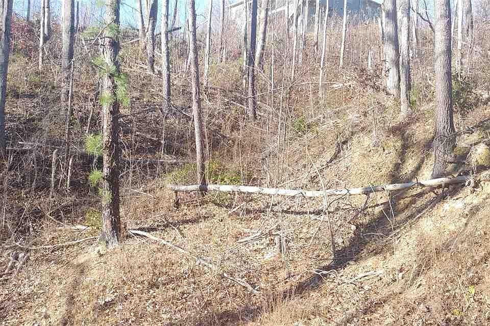 1st image of 2 Deer Path Ln Lot 2