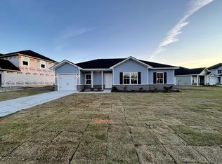 165 Rimes Ave SE, Ludowici, GA 31316