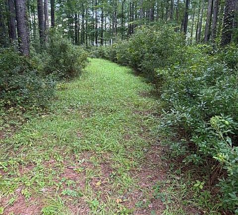 3rd image of 28 Leeward Lane LOT 7