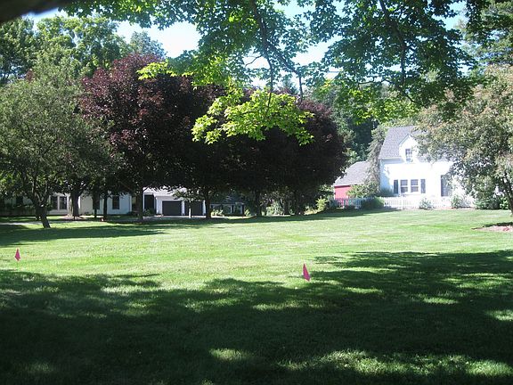 Mature trees