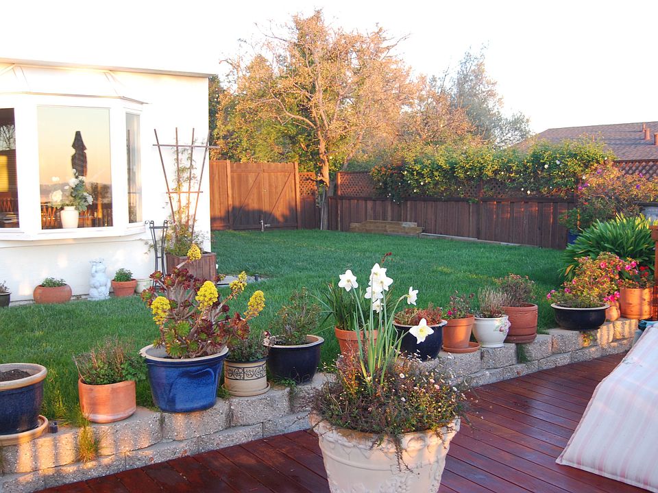 SideYard Back From Custom Deck