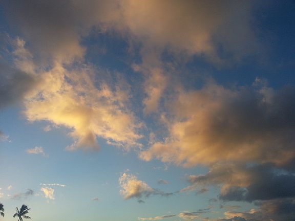Beautiful Kakaako Sky!!