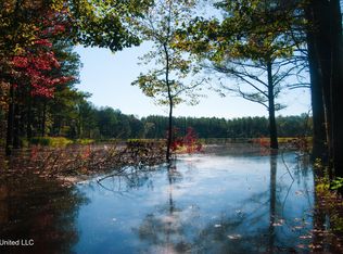 State Highway 17, Pickens, MS 39146