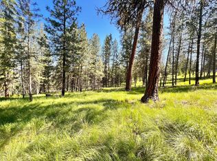 LOT 21 Springridge Rd, Republic, WA 99166