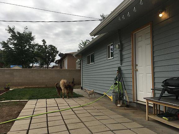 Back yard