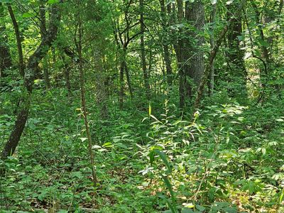 0 Pendleton Lost Creek Rd, Warrenton, MO, 63383