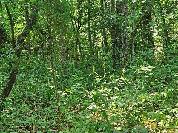 0 Pendleton Lost Creek Rd, Warrenton, MO 63383